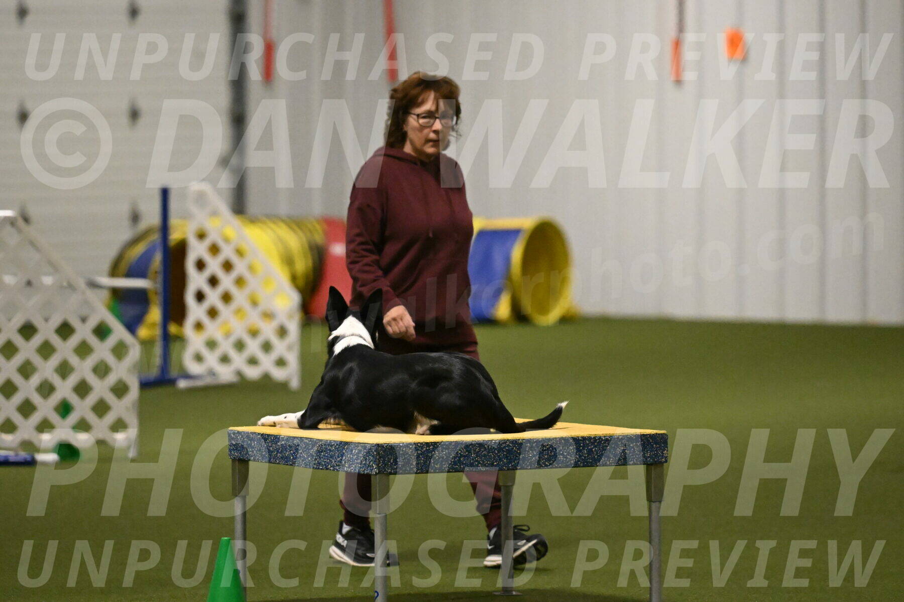 Ice-Jennifer-Walsh-07370