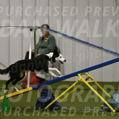 Ice-Jennifer-Walsh-07371