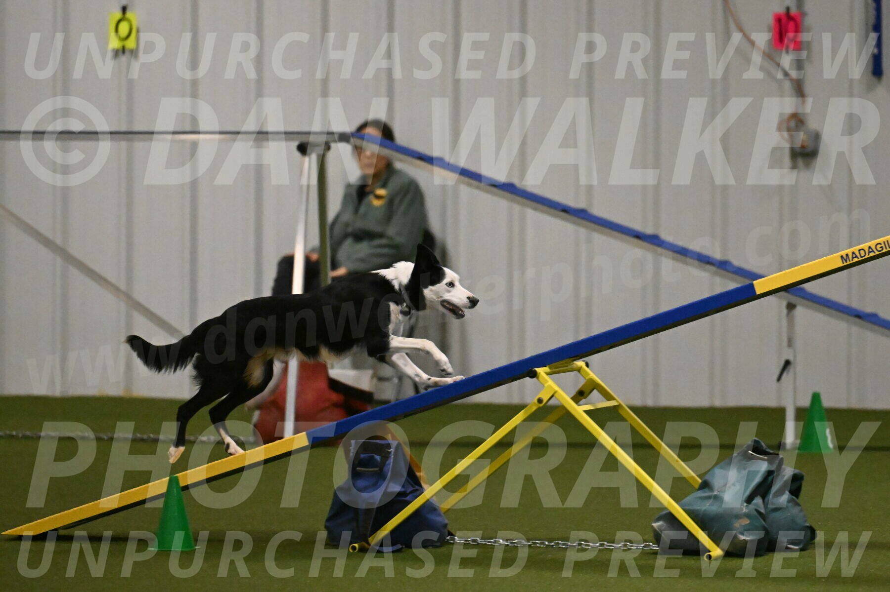 Ice-Jennifer-Walsh-07371