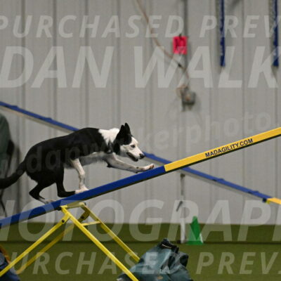 Ice-Jennifer-Walsh-07372