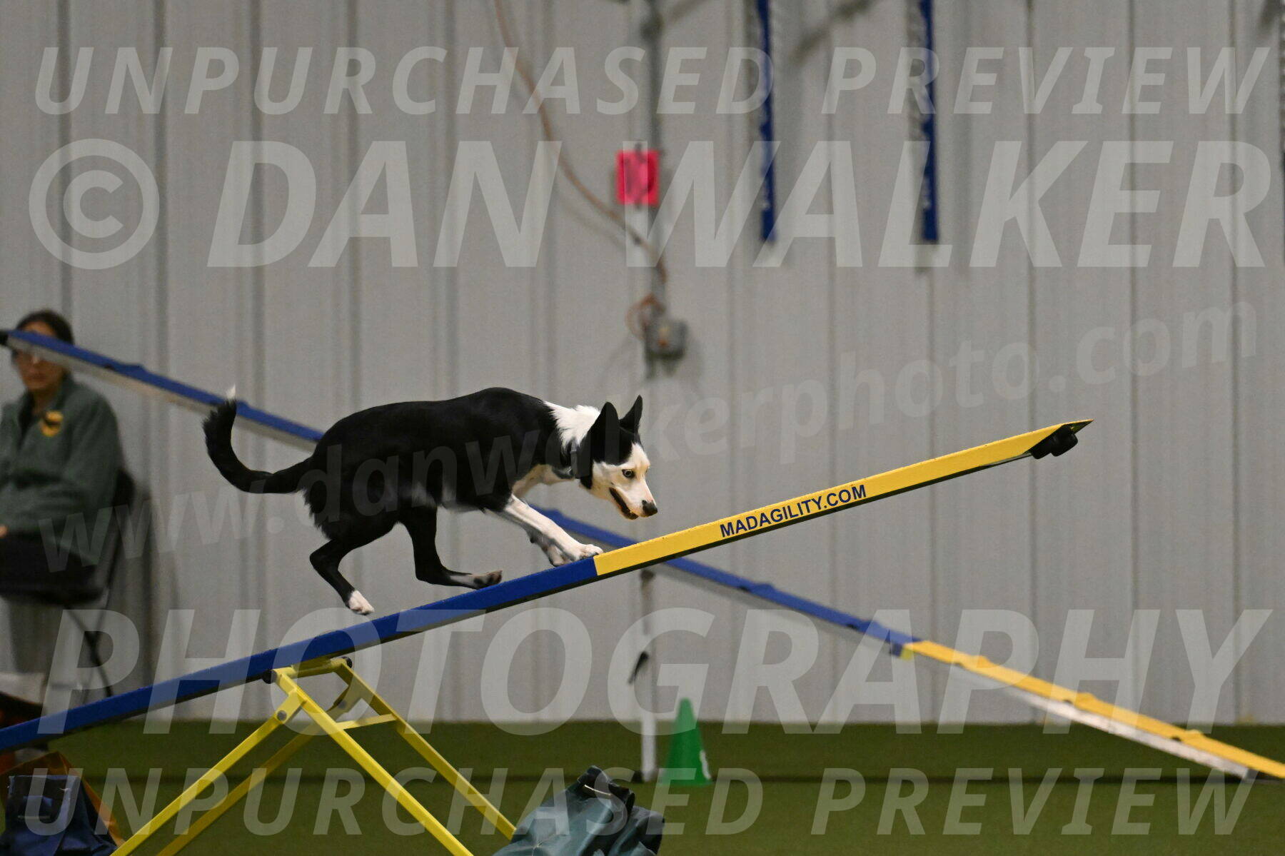 Ice-Jennifer-Walsh-07373