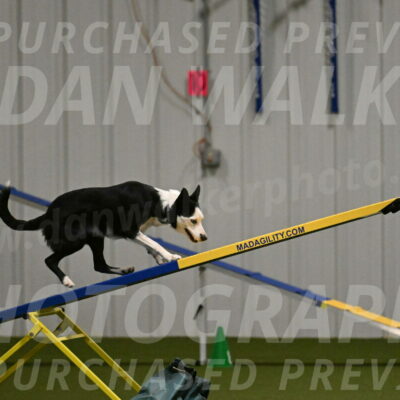 Ice-Jennifer-Walsh-07373