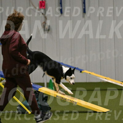 Ice-Jennifer-Walsh-07375