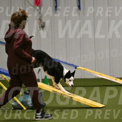 Ice-Jennifer-Walsh-07376