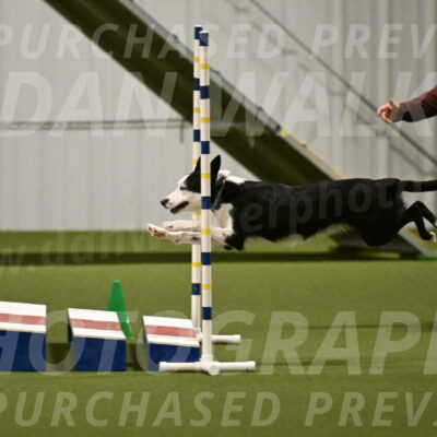 Ice-Jennifer-Walsh-07377