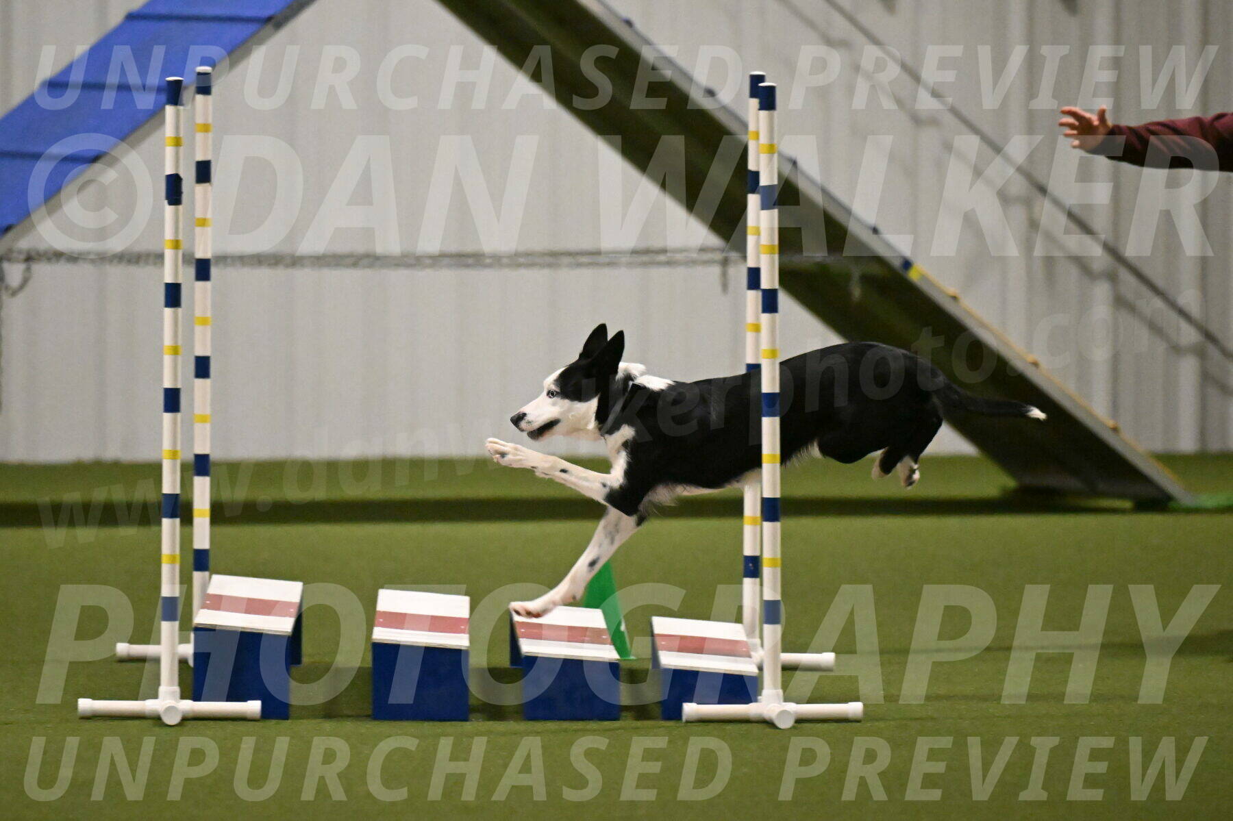 Ice-Jennifer-Walsh-07378