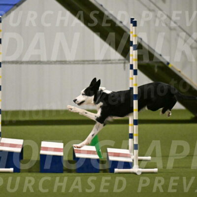 Ice-Jennifer-Walsh-07378