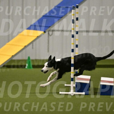 Ice-Jennifer-Walsh-07379