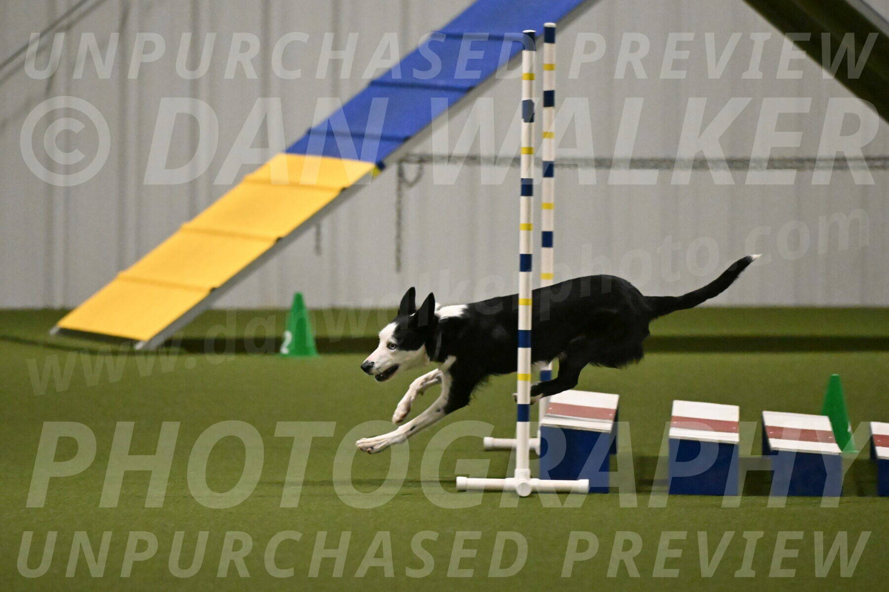 Ice-Jennifer-Walsh-07379