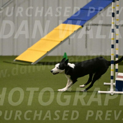 Ice-Jennifer-Walsh-07380