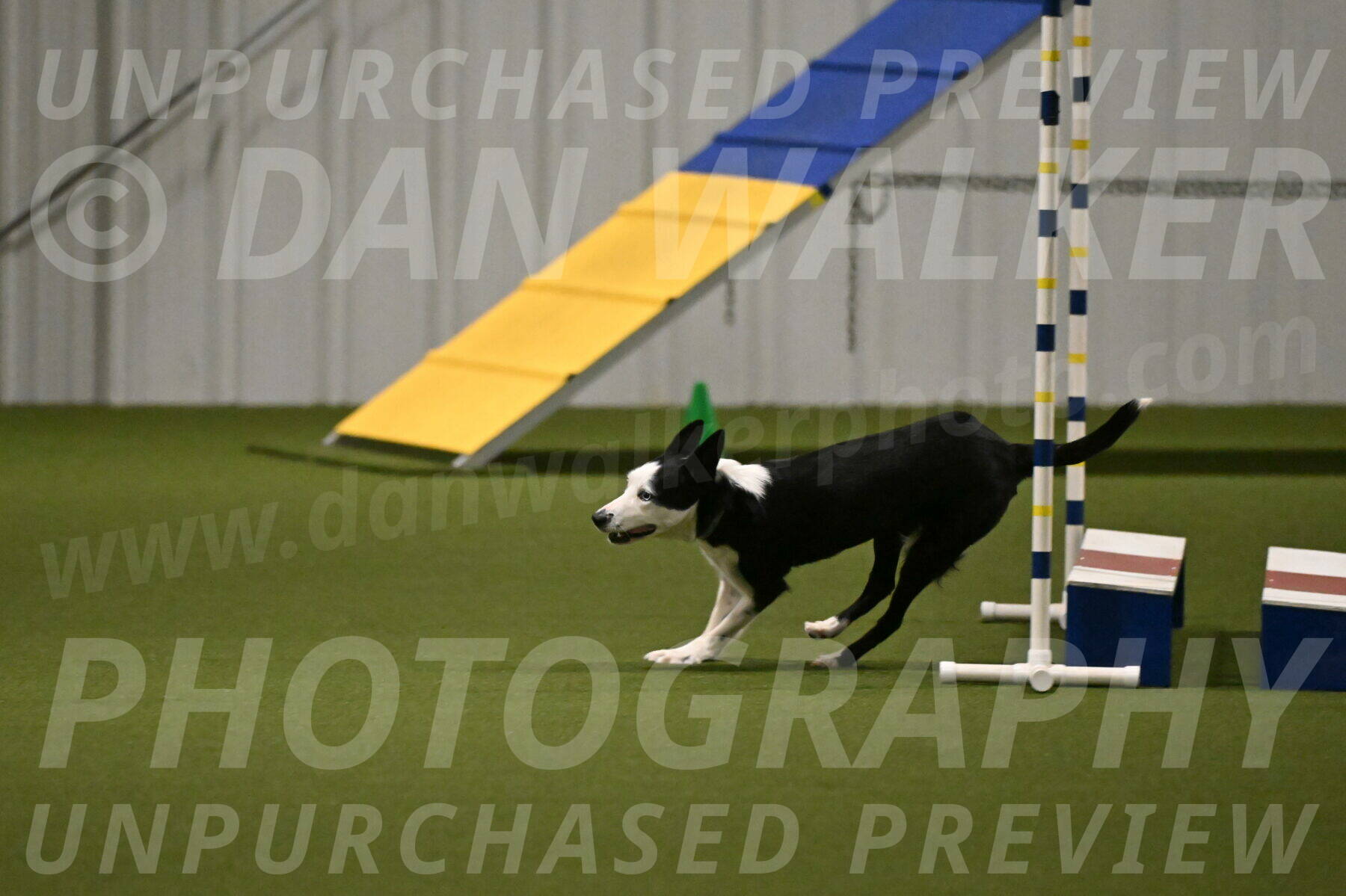 Ice-Jennifer-Walsh-07380