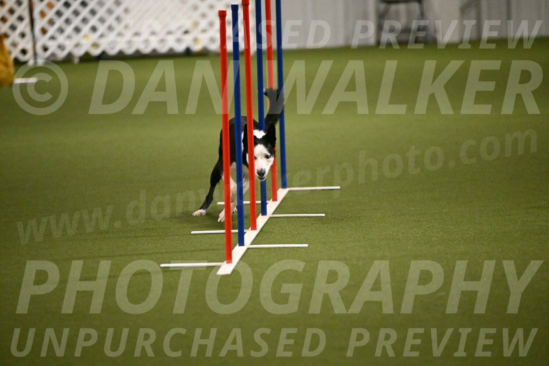 Ice-Jennifer-Walsh-07381