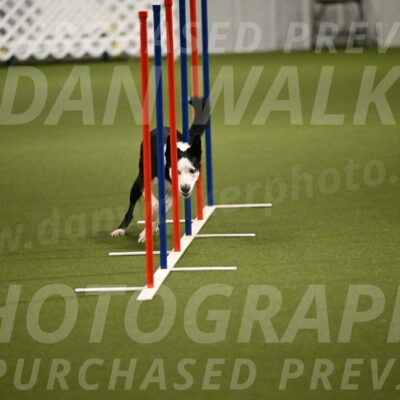 Ice-Jennifer-Walsh-07381