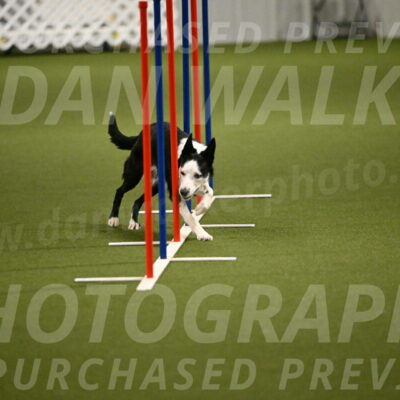 Ice-Jennifer-Walsh-07382