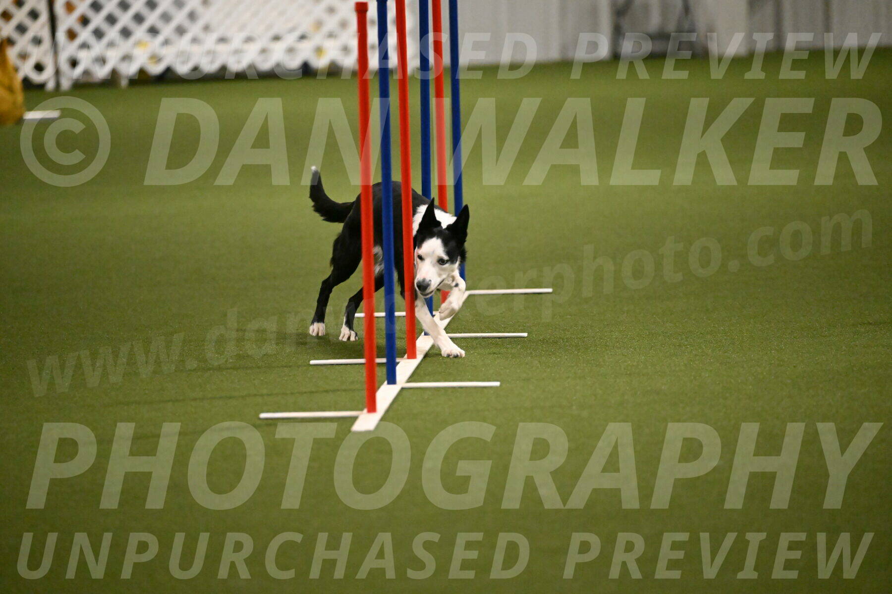 Ice-Jennifer-Walsh-07382