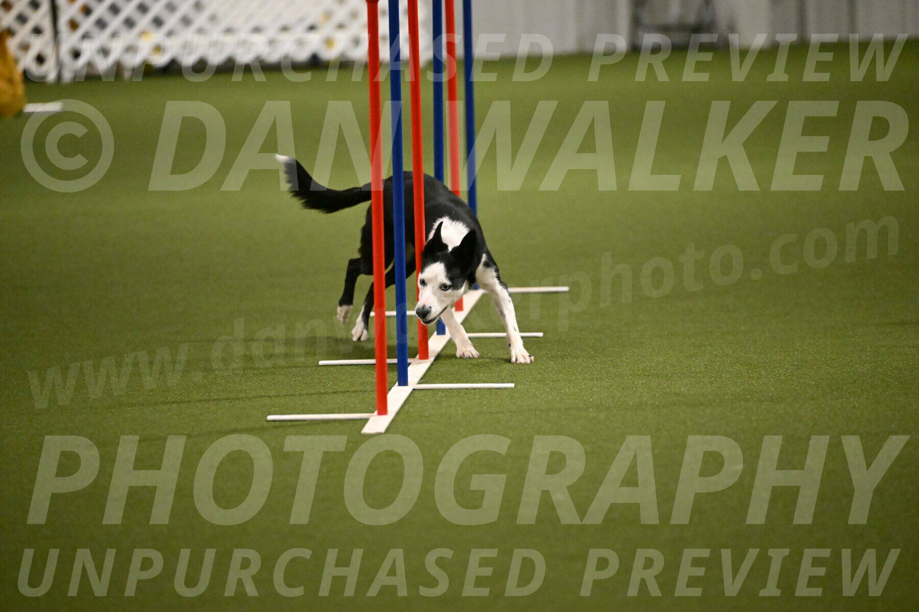 Ice-Jennifer-Walsh-07383