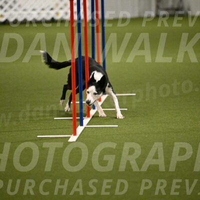 Ice-Jennifer-Walsh-07383