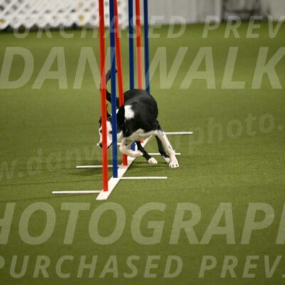 Ice-Jennifer-Walsh-07384