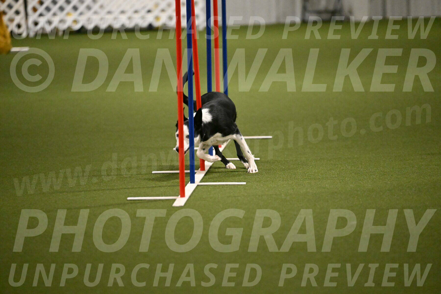 Ice-Jennifer-Walsh-07384