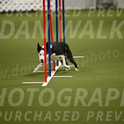 Ice-Jennifer-Walsh-07385