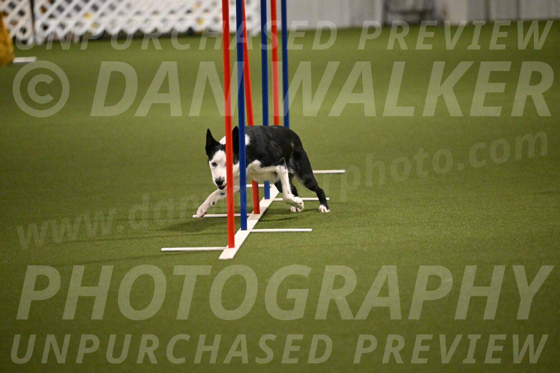 Ice-Jennifer-Walsh-07385