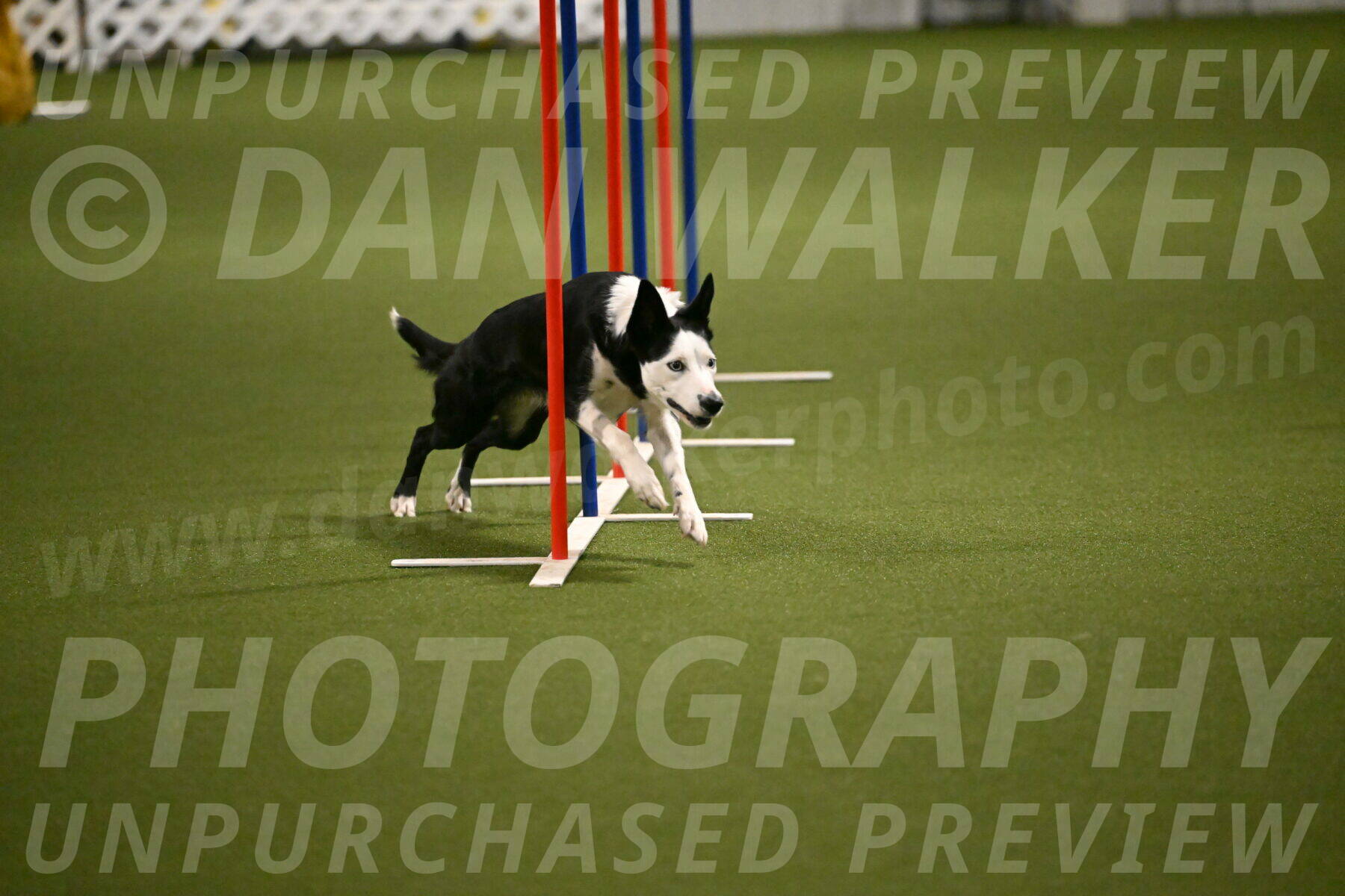 Ice-Jennifer-Walsh-07386