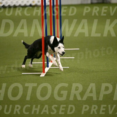 Ice-Jennifer-Walsh-07386