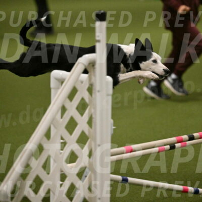 Ice-Jennifer-Walsh-07387