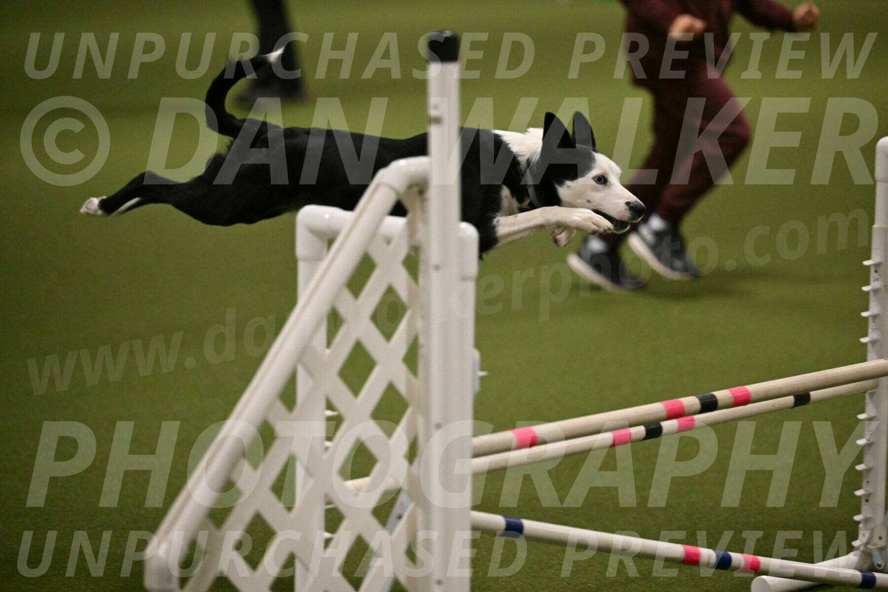 Ice-Jennifer-Walsh-07387