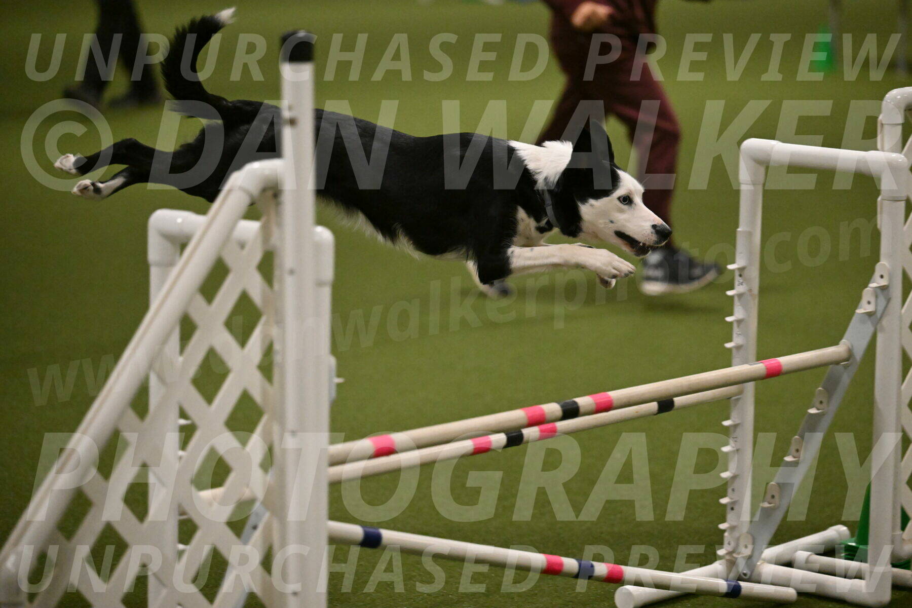 Ice-Jennifer-Walsh-07388