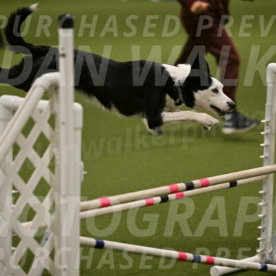 Ice-Jennifer-Walsh-07388