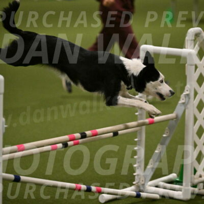 Ice-Jennifer-Walsh-07389