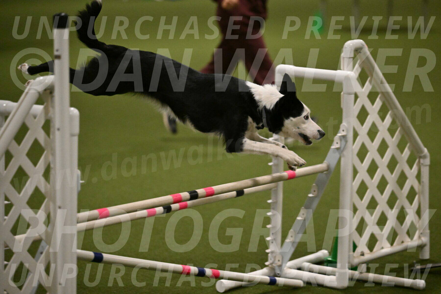 Ice-Jennifer-Walsh-07389