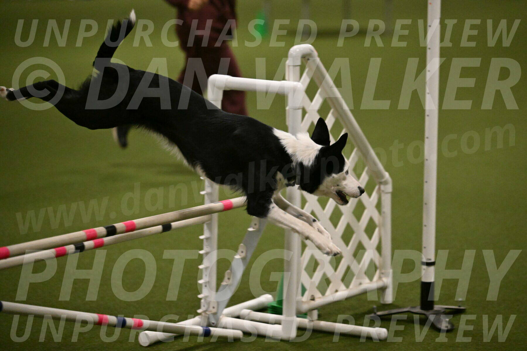 Ice-Jennifer-Walsh-07390