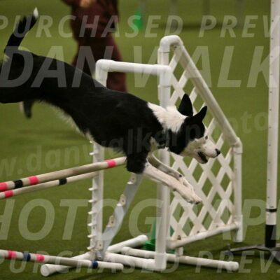 Ice-Jennifer-Walsh-07390