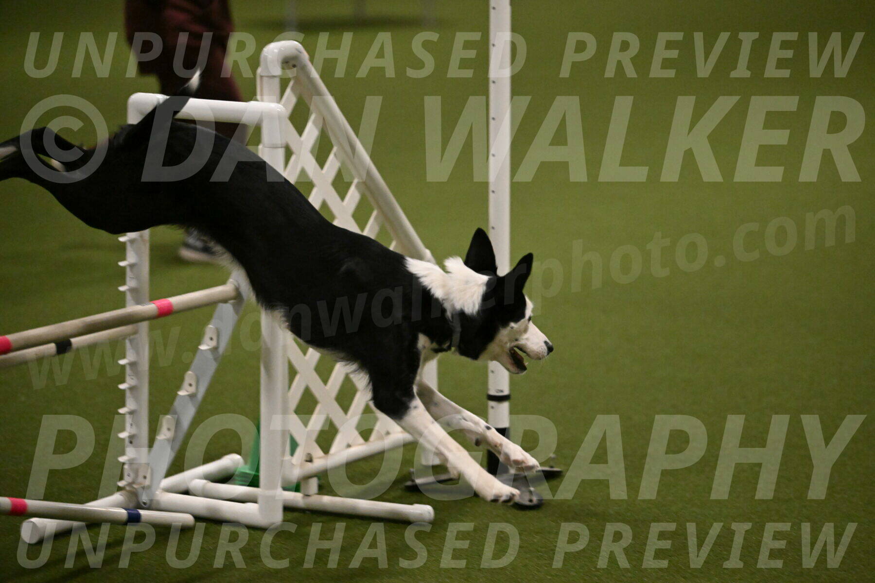 Ice-Jennifer-Walsh-07391