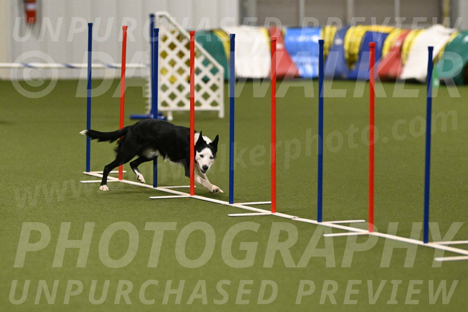 Ice-Jennifer-Walsh-07392