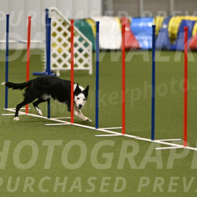 Ice-Jennifer-Walsh-07392