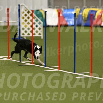 Ice-Jennifer-Walsh-07393