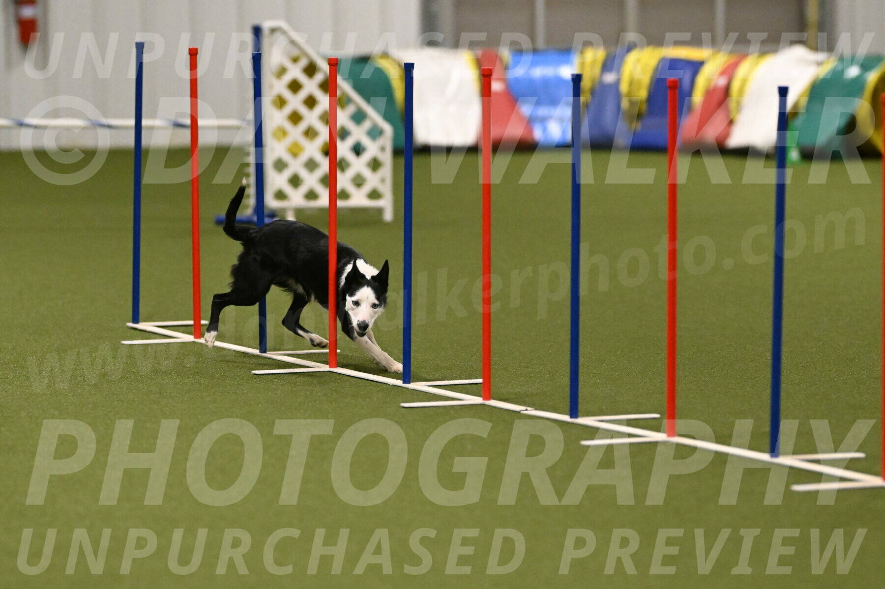 Ice-Jennifer-Walsh-07393