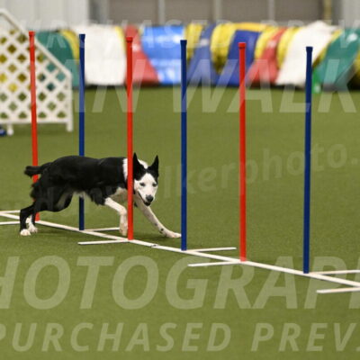 Ice-Jennifer-Walsh-07394