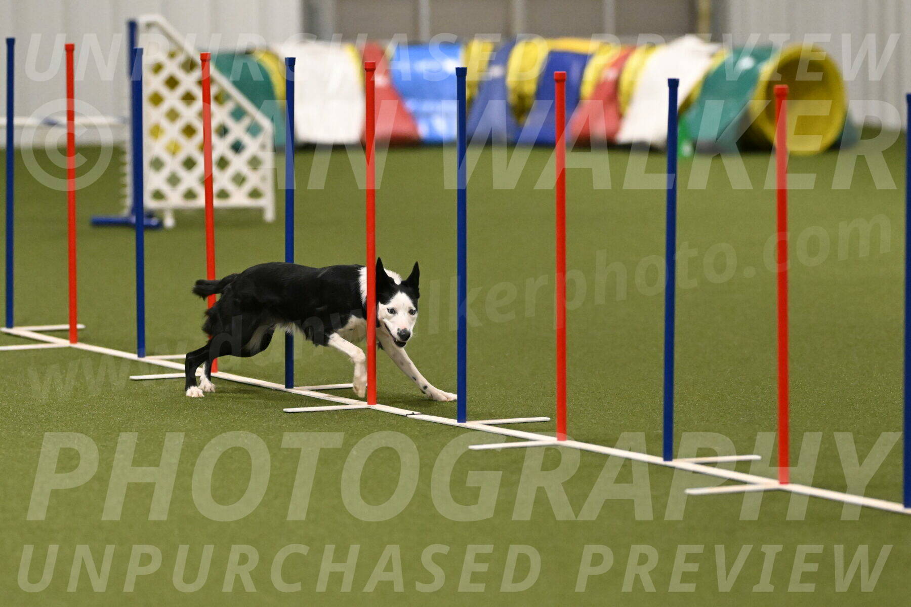 Ice-Jennifer-Walsh-07394