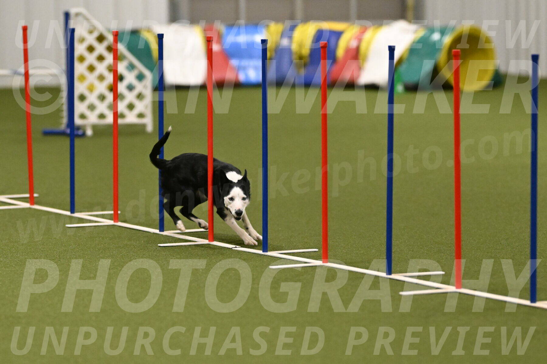 Ice-Jennifer-Walsh-07395