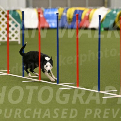 Ice-Jennifer-Walsh-07395