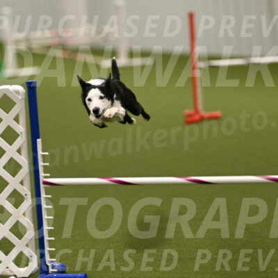 Ice-Jennifer-Walsh-07396