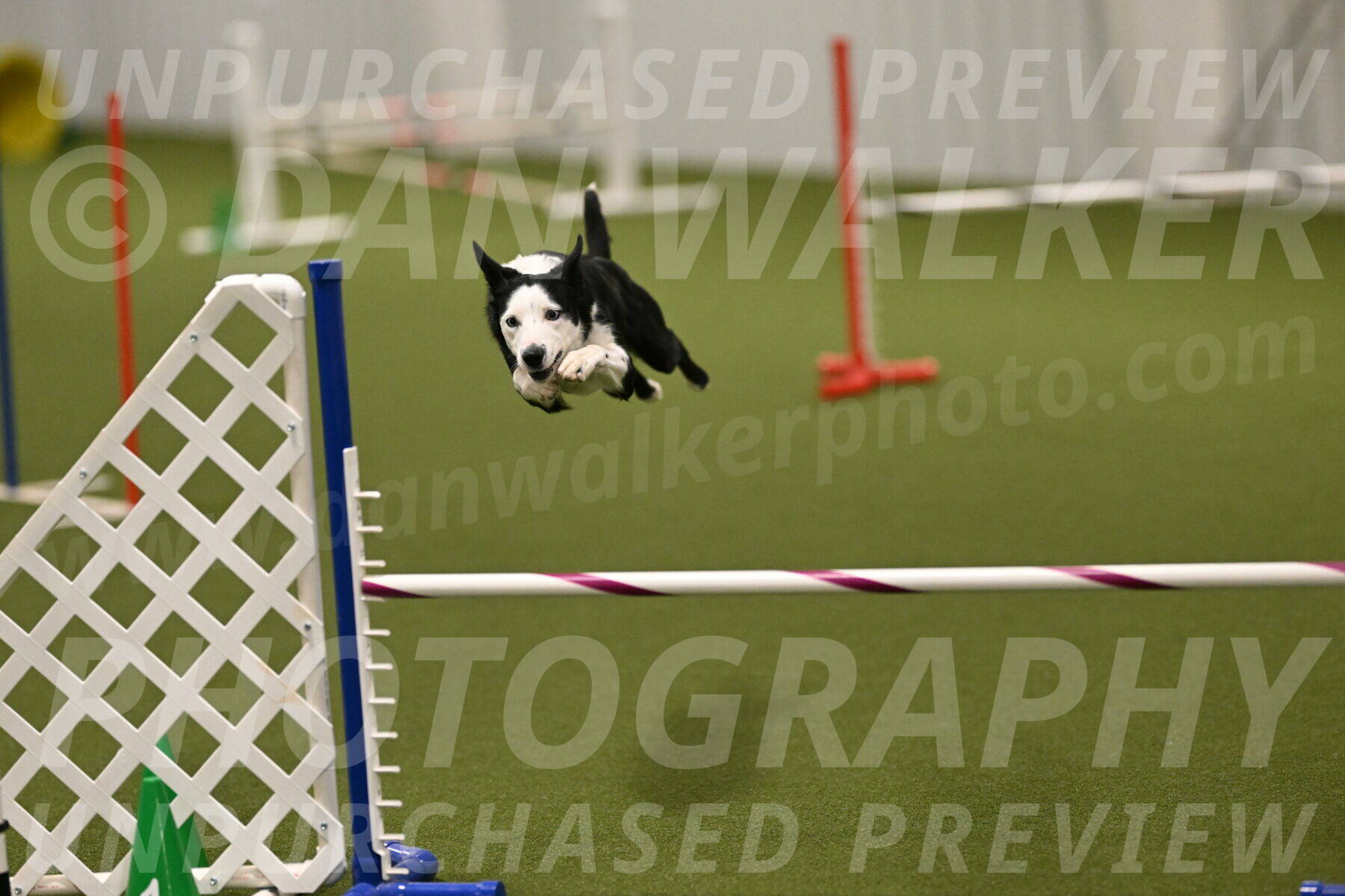 Ice-Jennifer-Walsh-07396