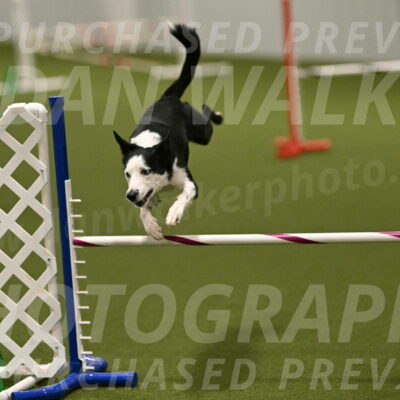 Ice-Jennifer-Walsh-07397