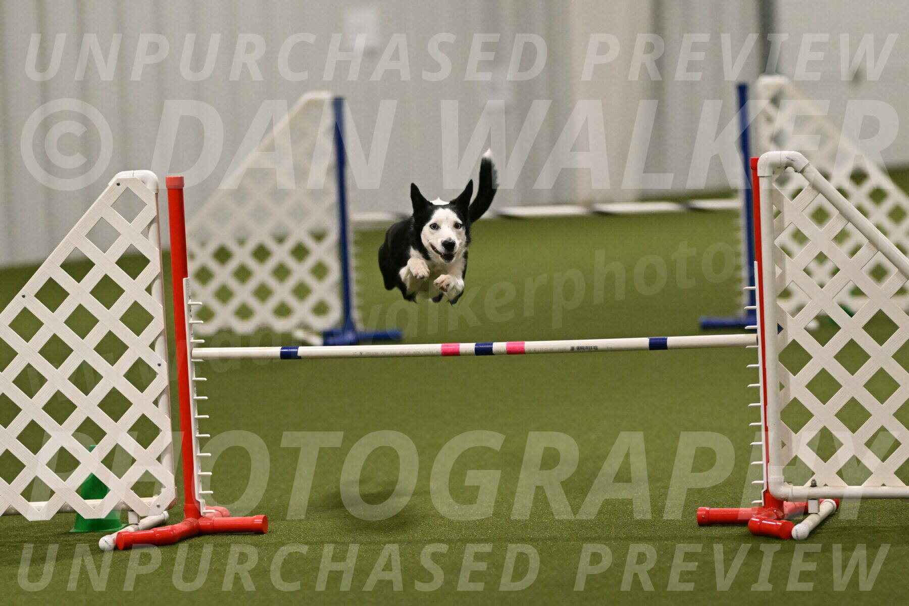 Ice-Jennifer-Walsh-07398