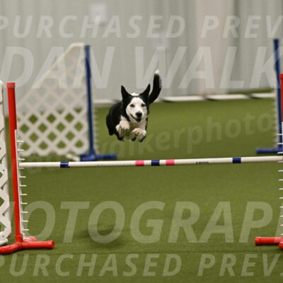 Ice-Jennifer-Walsh-07398