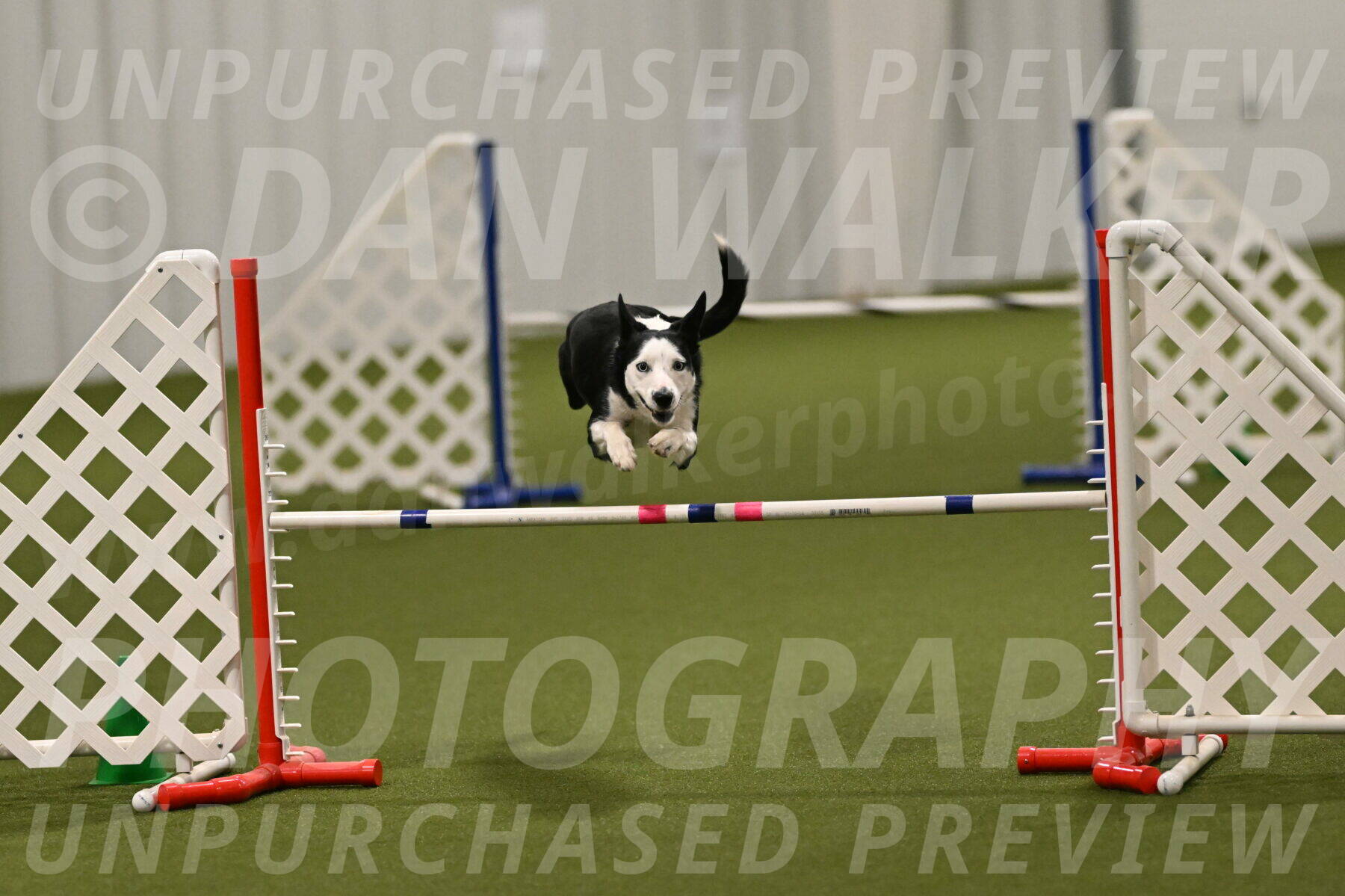 Ice-Jennifer-Walsh-07399